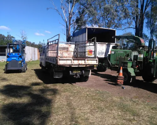 Galston Tree Removal