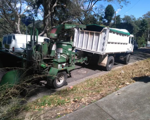 Hornsby Tree Removal