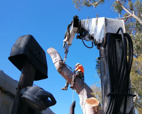 Dural Stump Grinding