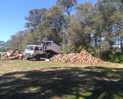  Tree Pruning