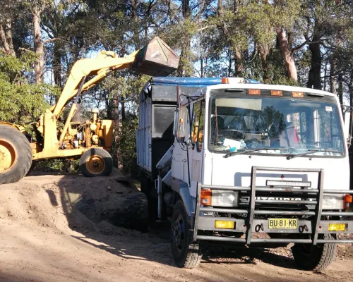 Castle Hill Tree Removal