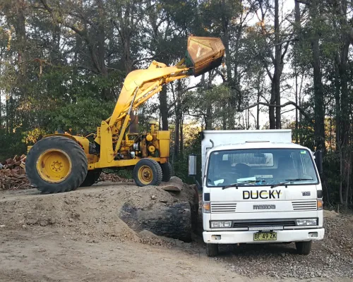 Tree Management Baulkham Hills
