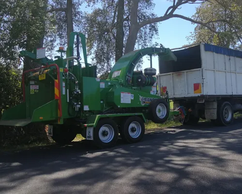 Baulkham Hills Tree Removal