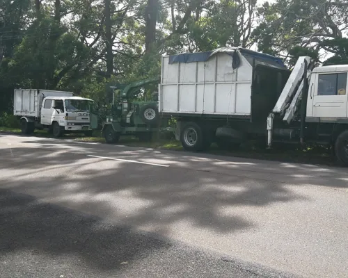 Baulkham Hills Stump Grinding