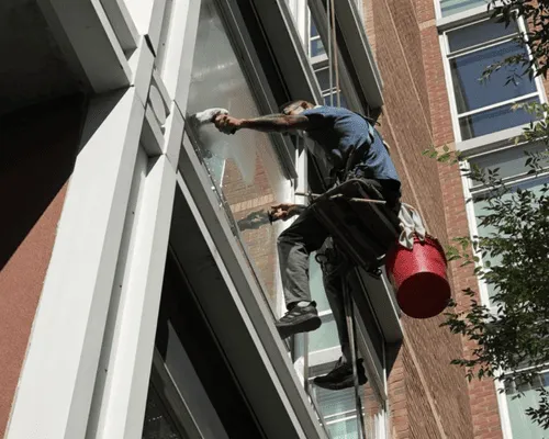 {{ custom_values.service_1 }} in {{custom_values.biz_area_1})