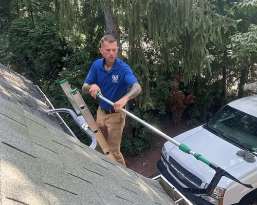 Gutter Cleaning 