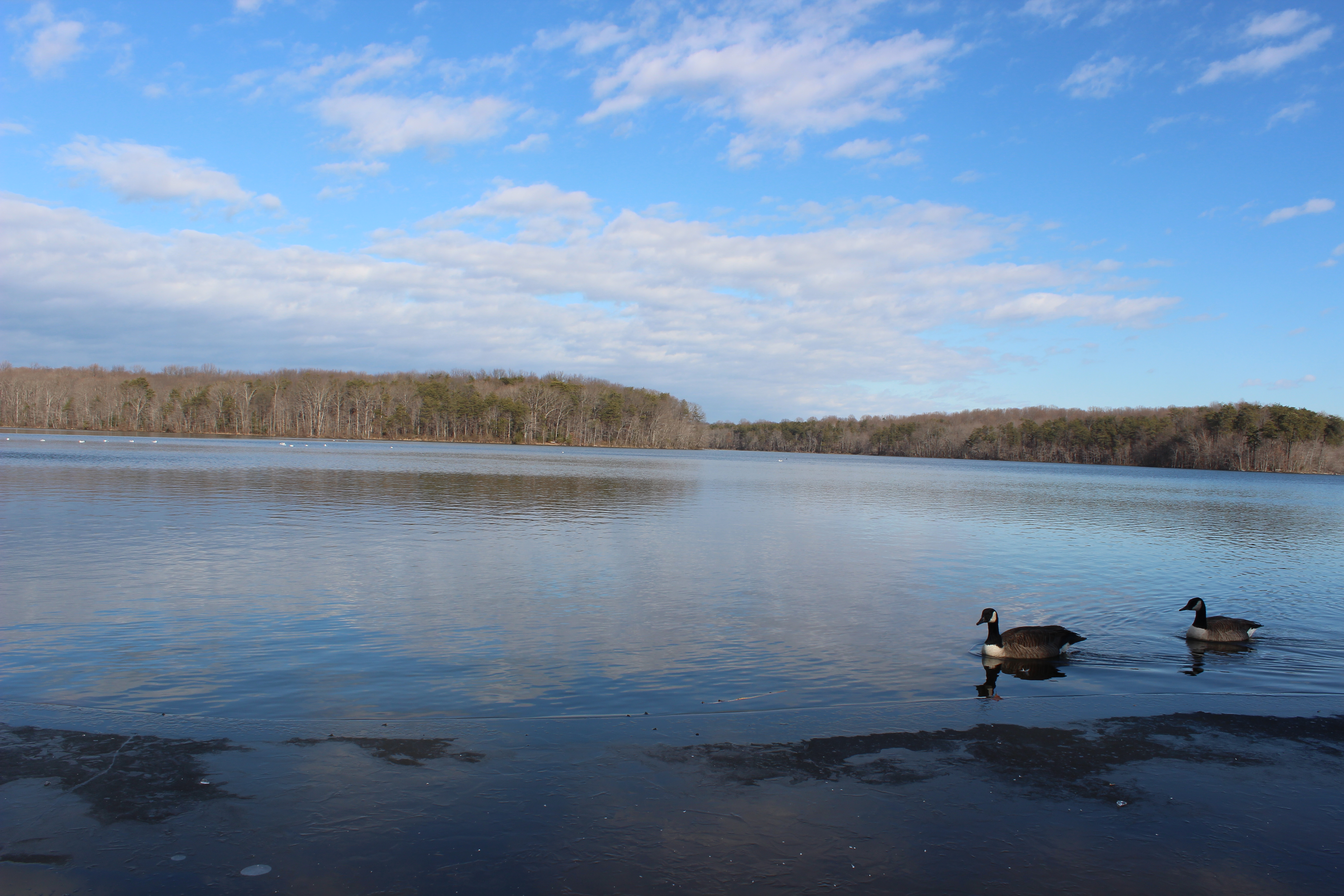Downtown Clifton, Virginia
