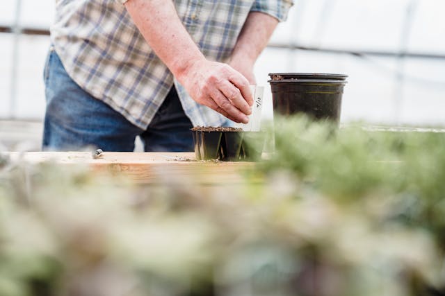 The First Home Owner Grant Explained – Are You Eligible?