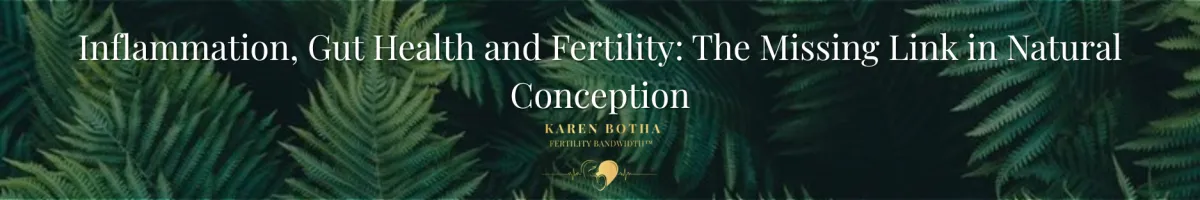 Inflammation, Gut Health and Fertility — The Missing Link in Natural Conception