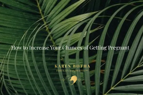 How to Increase Your Chances of Getting Pregnant