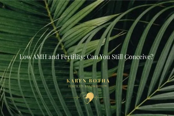 Low AMH and Fertility: Can You Still Conceive?