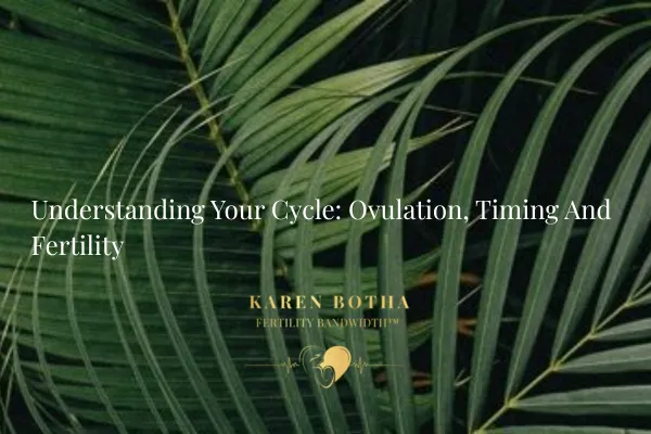 Understanding Your Cycle: Ovulation, Timing and Fertility