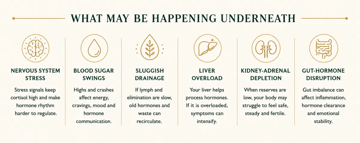 What may be happening underneath hormonal imbalance including nervous system stress, blood sugar swings, sluggish drainage, liver overload, kidney-adrenal depletion and gut-hormone disruption.