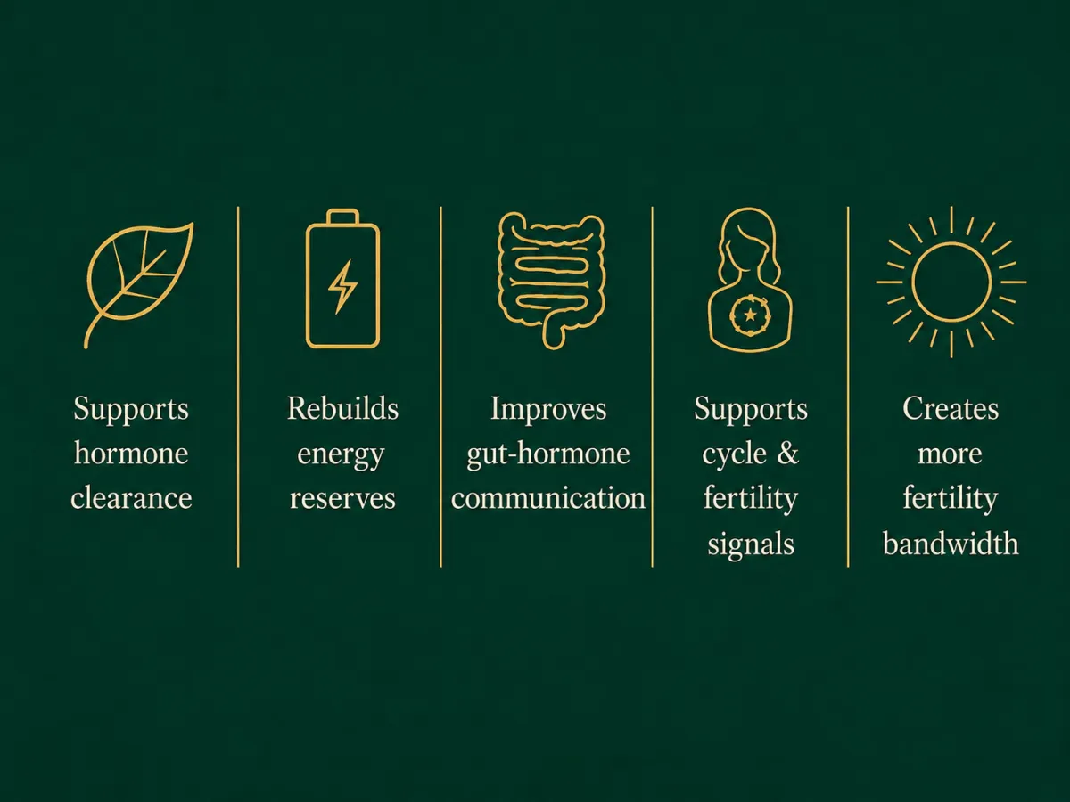 Hormonal Imbalance Reset benefits including hormone clearance, energy reserves, gut-hormone communication, cycle signals and fertility bandwidth.