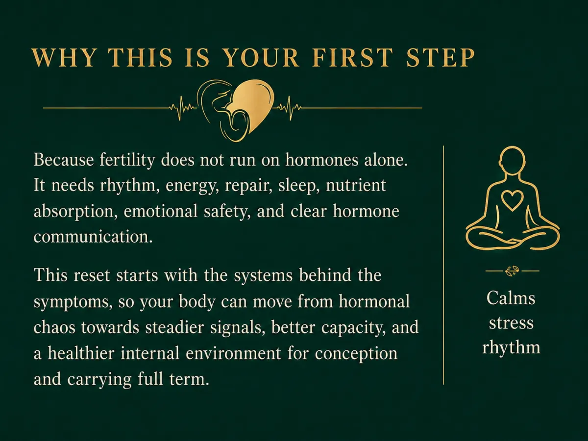 Why the Hormonal Imbalance Reset is the first step for fertility, explaining how rhythm, energy, repair, sleep, nutrient absorption and emotional safety support hormone communication.
