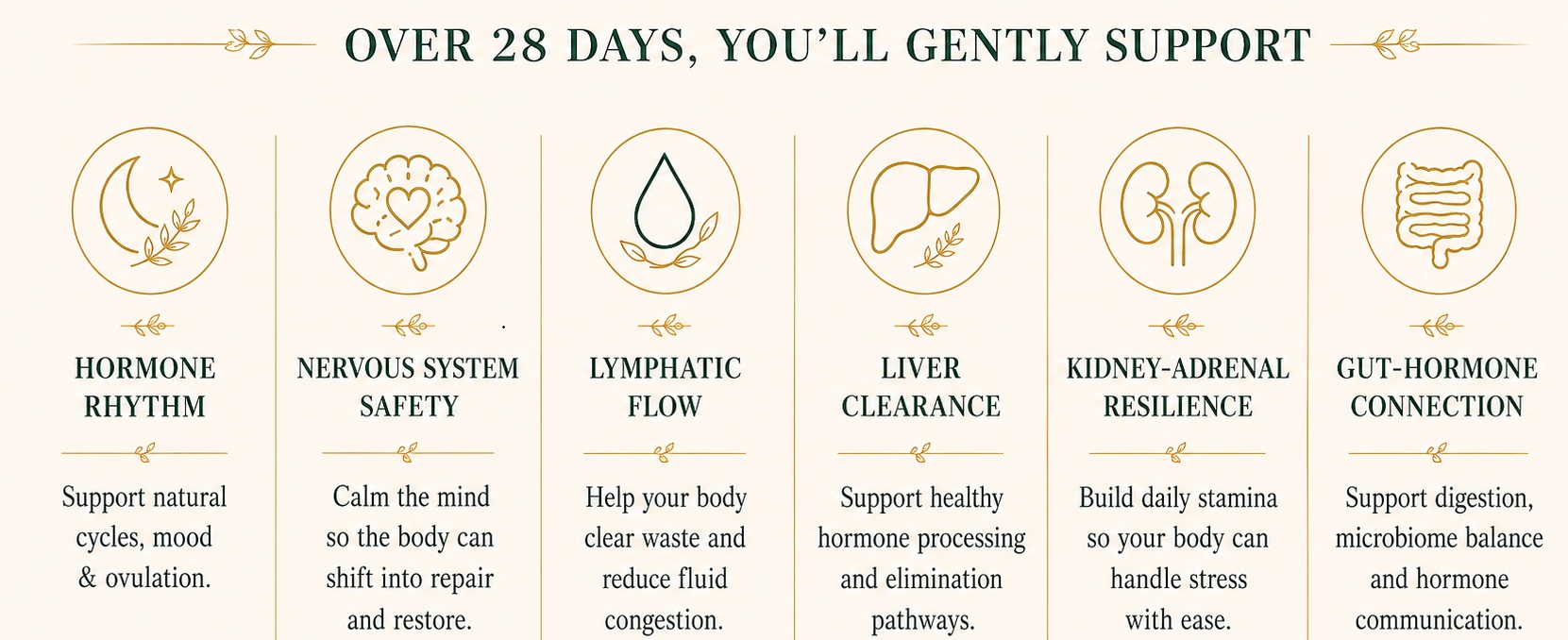 The 28-day Hormonal Imbalance Reset supports hormone rhythm, nervous system safety, lymphatic flow, liver clearance, kidney-adrenal resilience and gut-hormone connection.