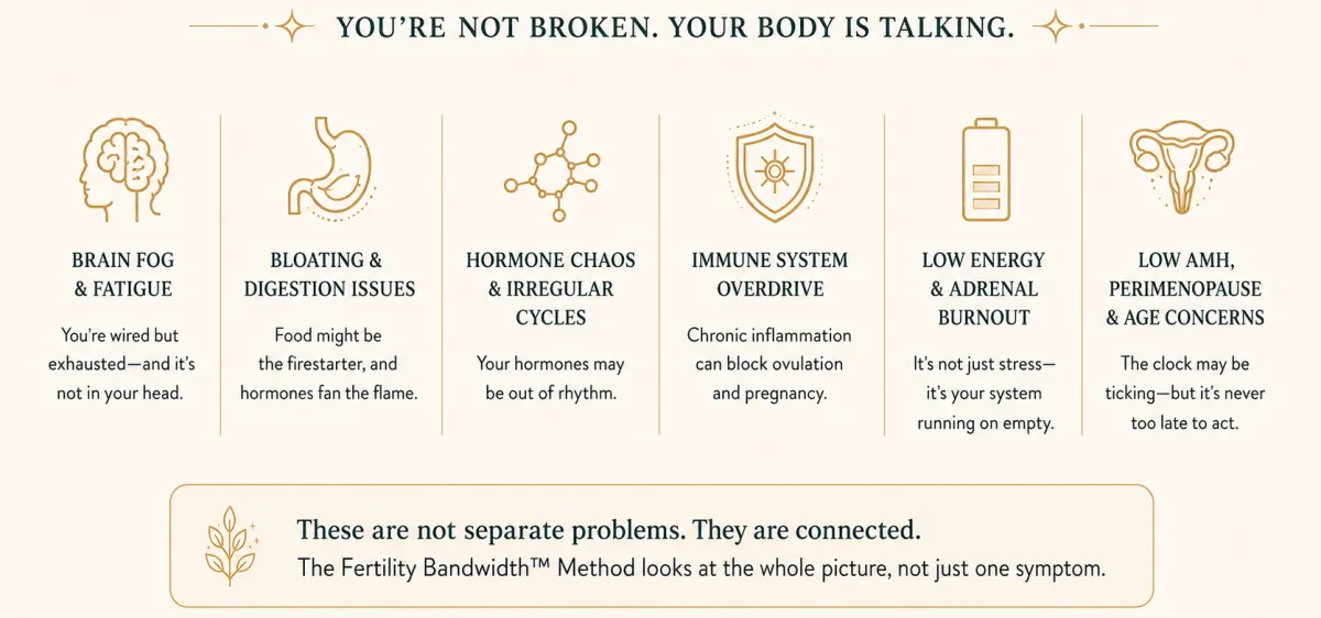 Hormonal Imbalance Reset benefits including hormone clearance, energy reserves, gut-hormone communication, cycle signals and fertility bandwidth.