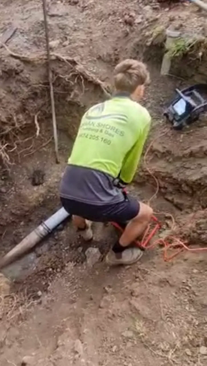 silver and diamond studded necklace