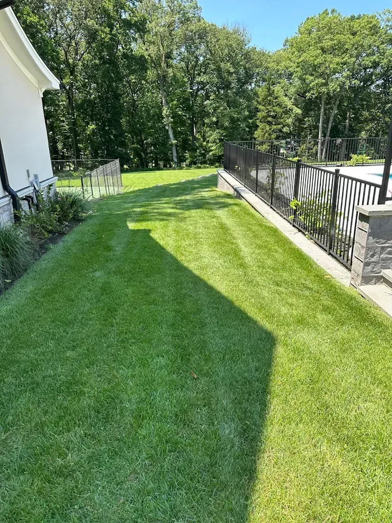 Ramsey Lawn Mowing