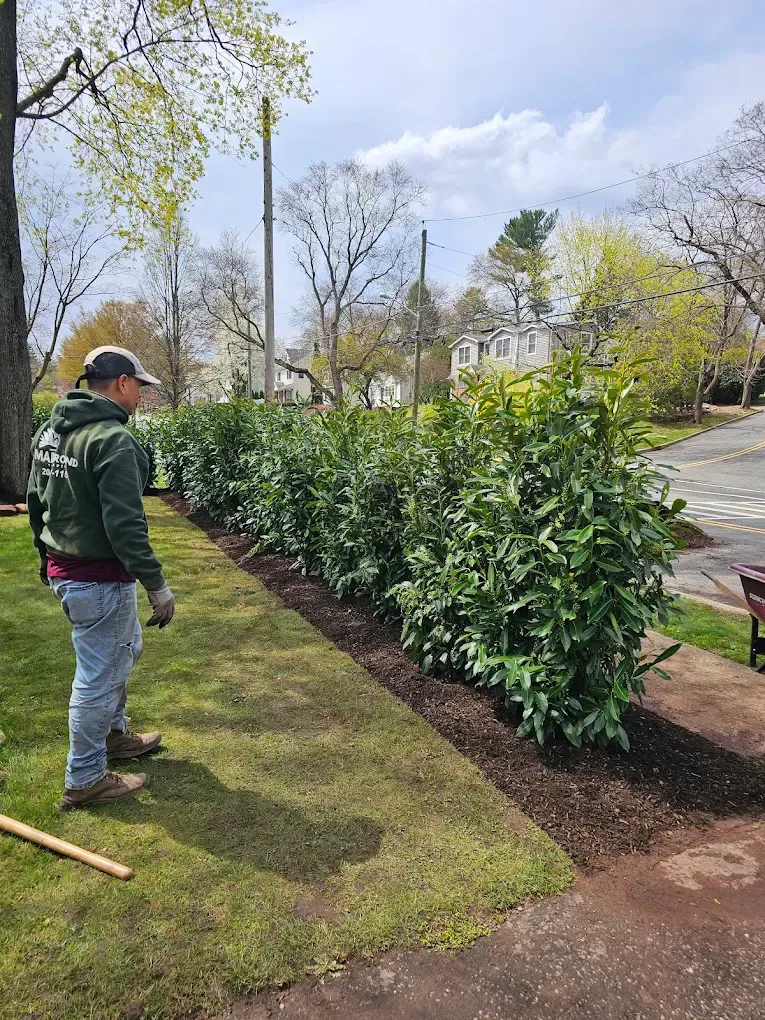 Ramsey Planting