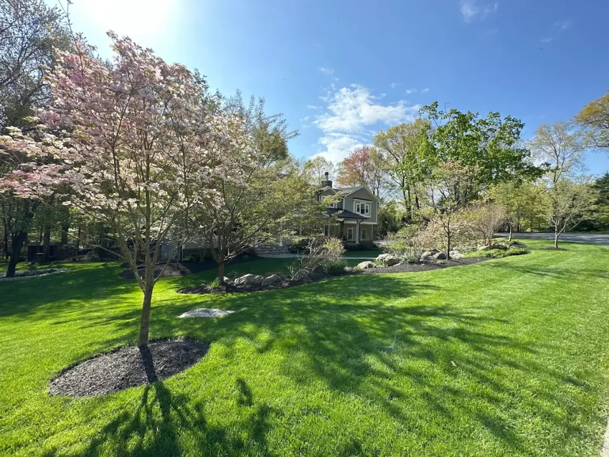 Gutter Cleaning Ridgewood