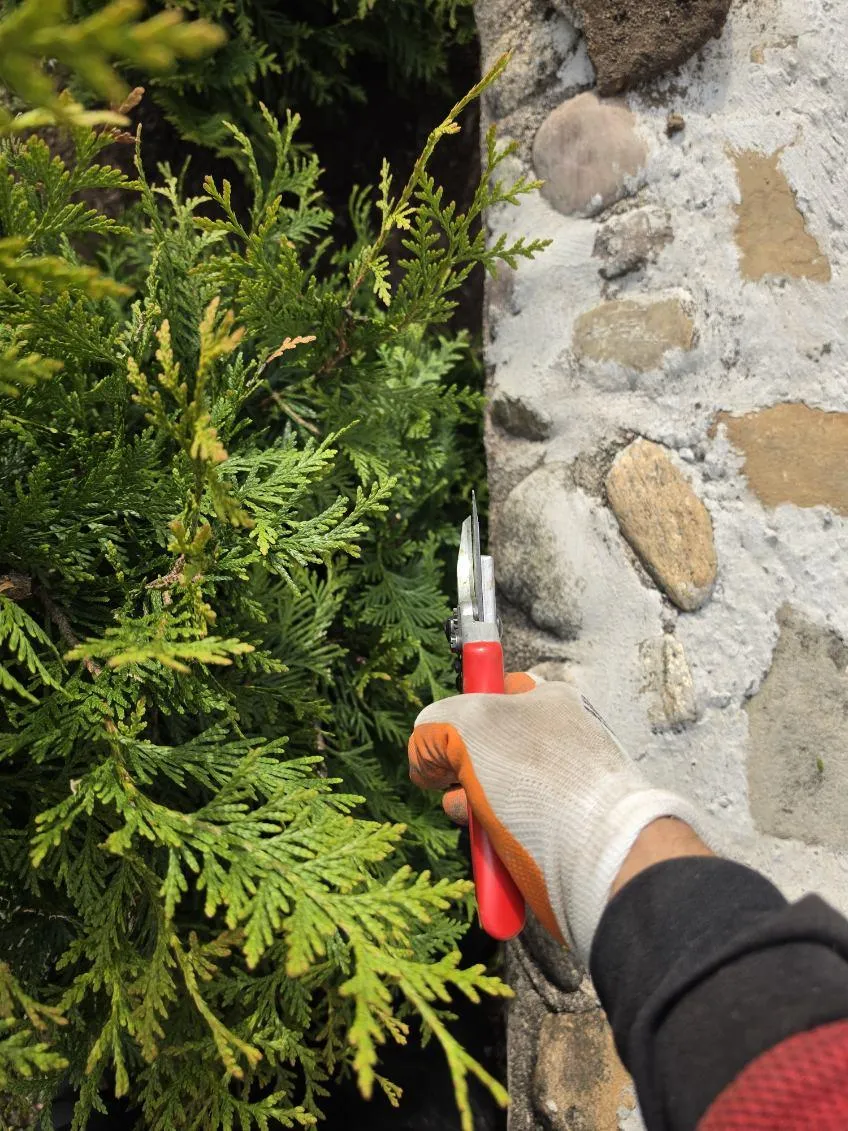 Hardscaping Ridgewood