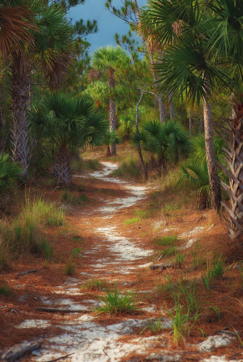 Beyond the Beach: Charlotte County Nature Trails & Eco-Adventures