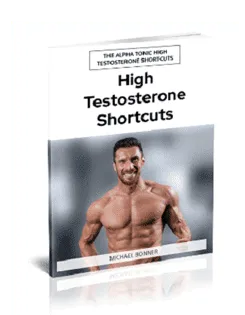 Bonus 1: High Testosterone Shortcuts