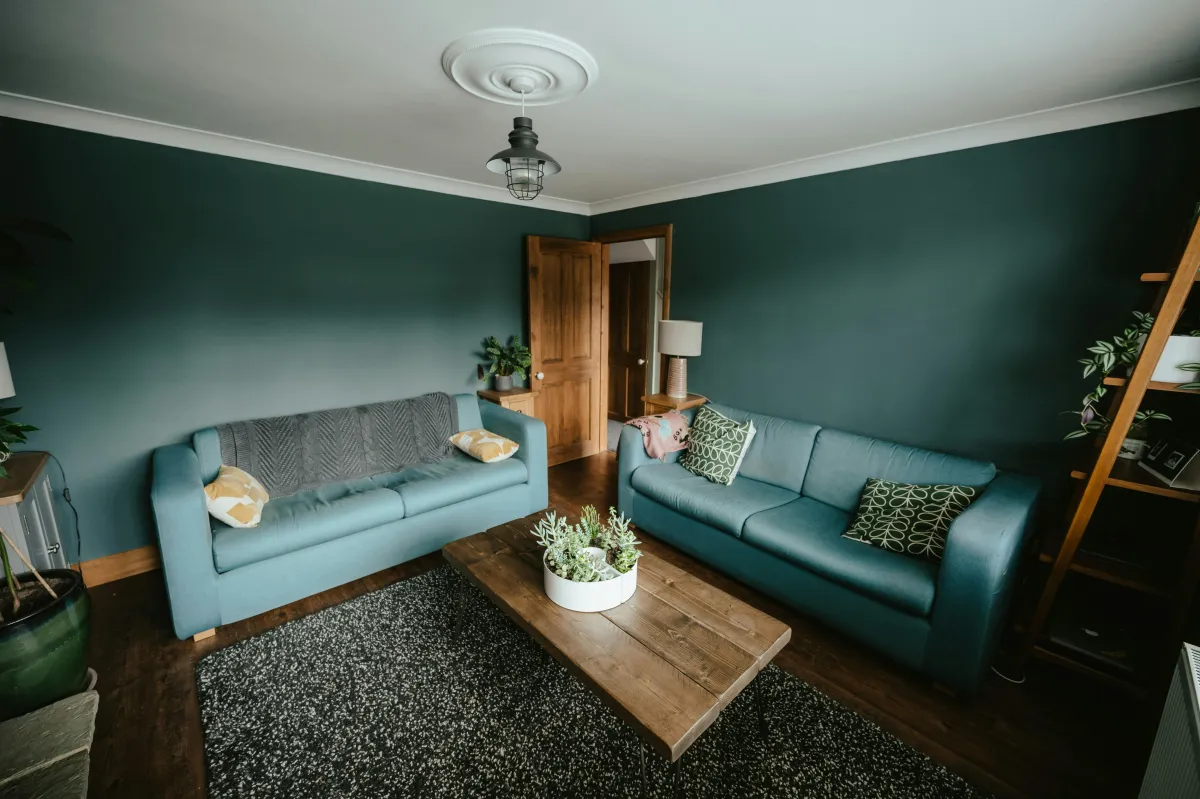 Interior painting project with freshly painted modern living room.