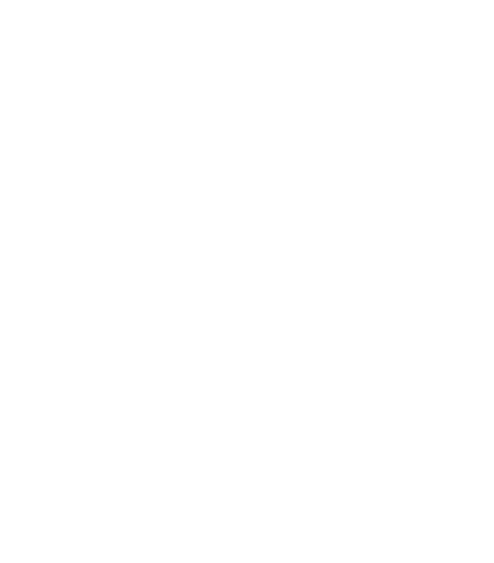 Logo Footer