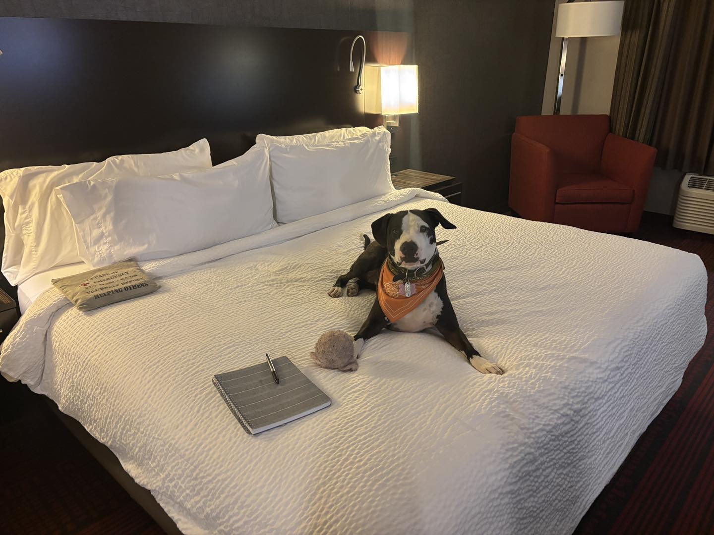 Ground Transportation