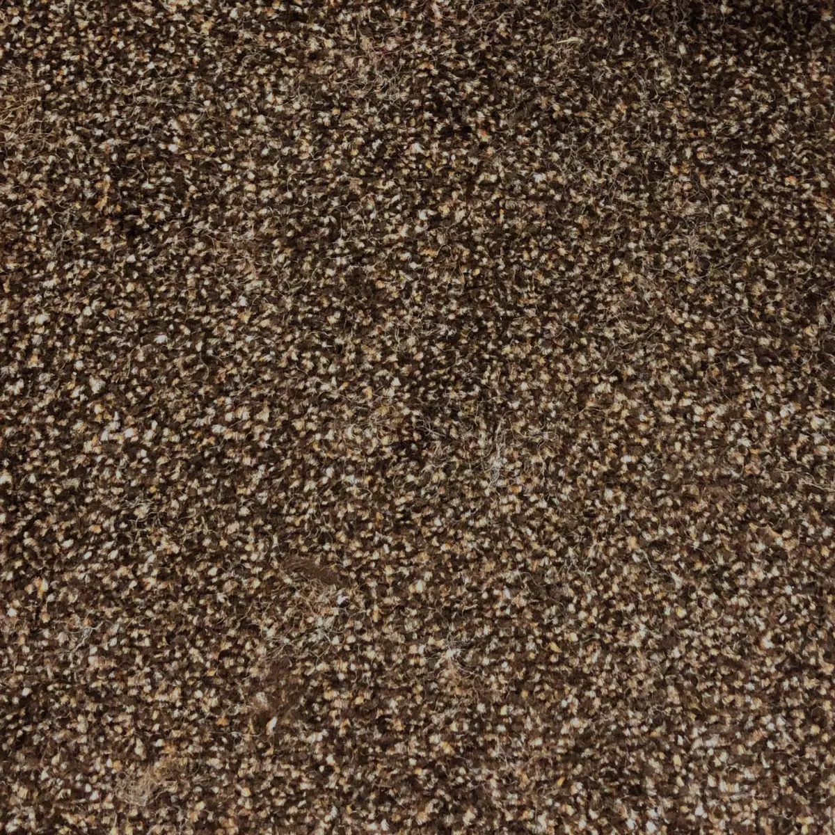 Cappuccino 61326 Carpet