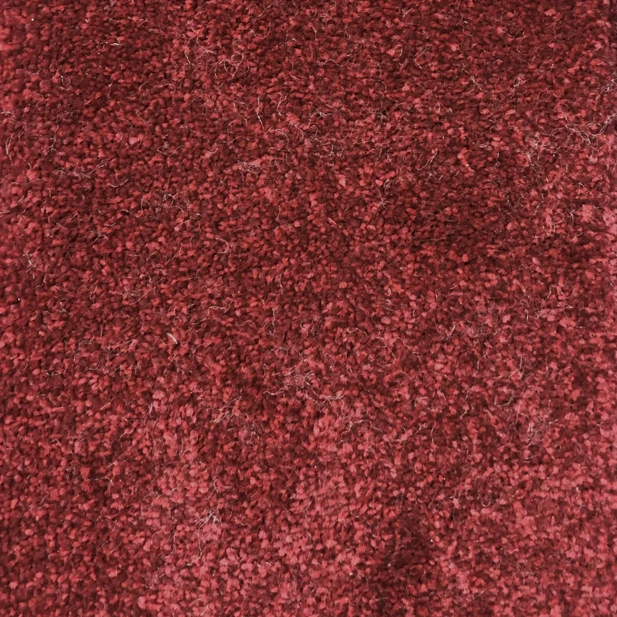 Red 50041 Carpet