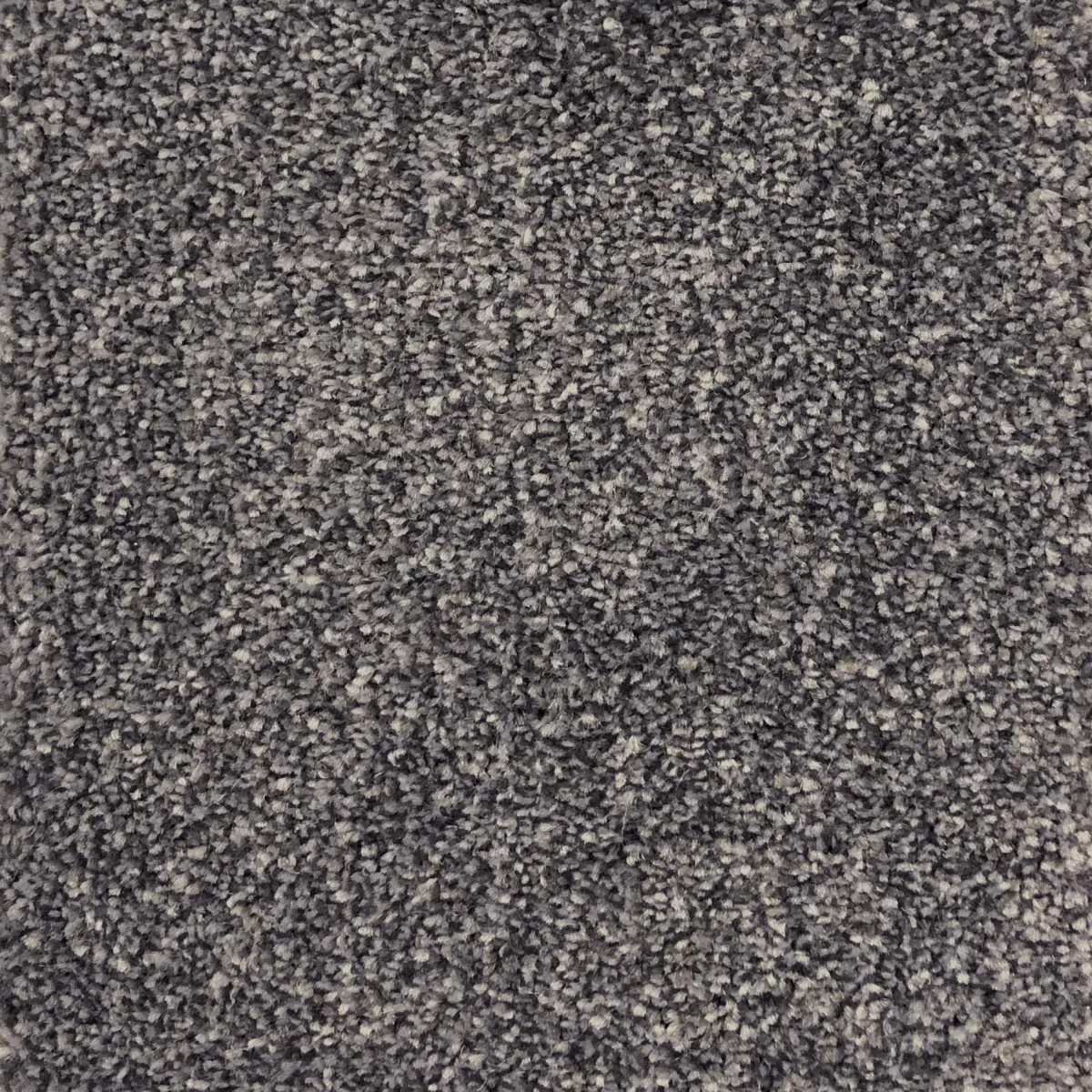 Mid Grey 55924 Carpet
