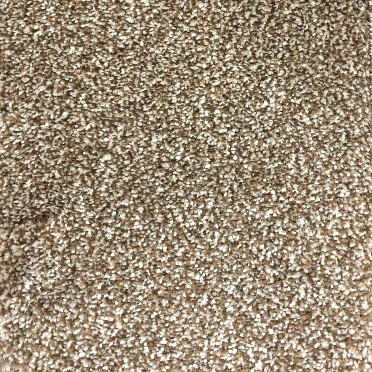 Caramel 62332 Carpet