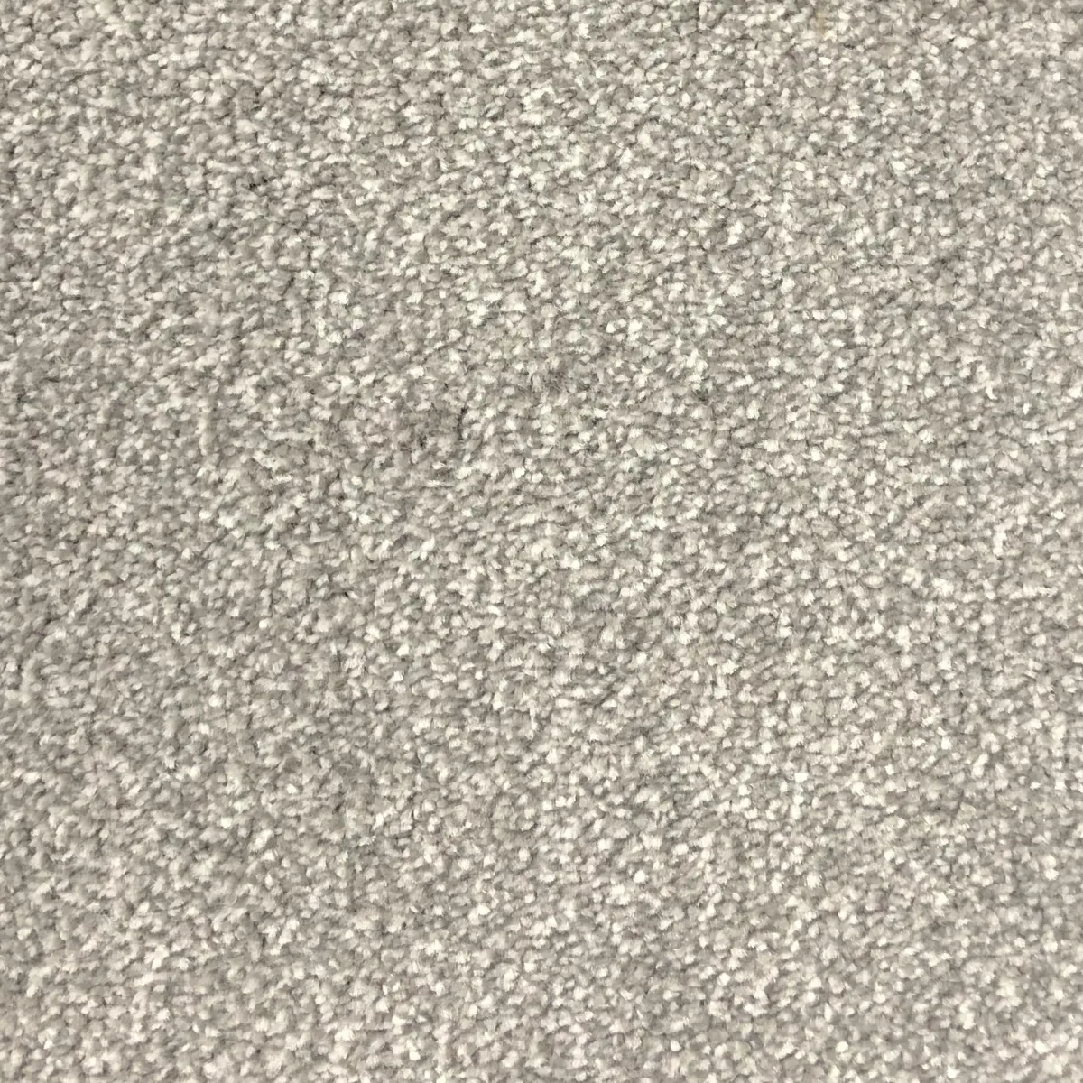 Frost Silver 72201 Carpet