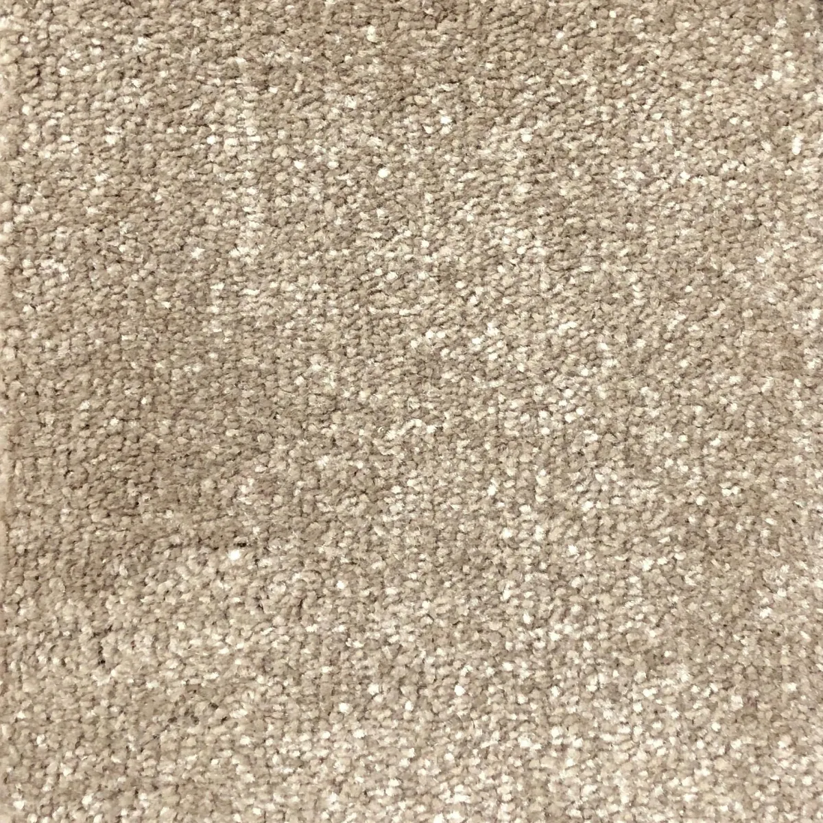 Sandstone 52828 Carpet