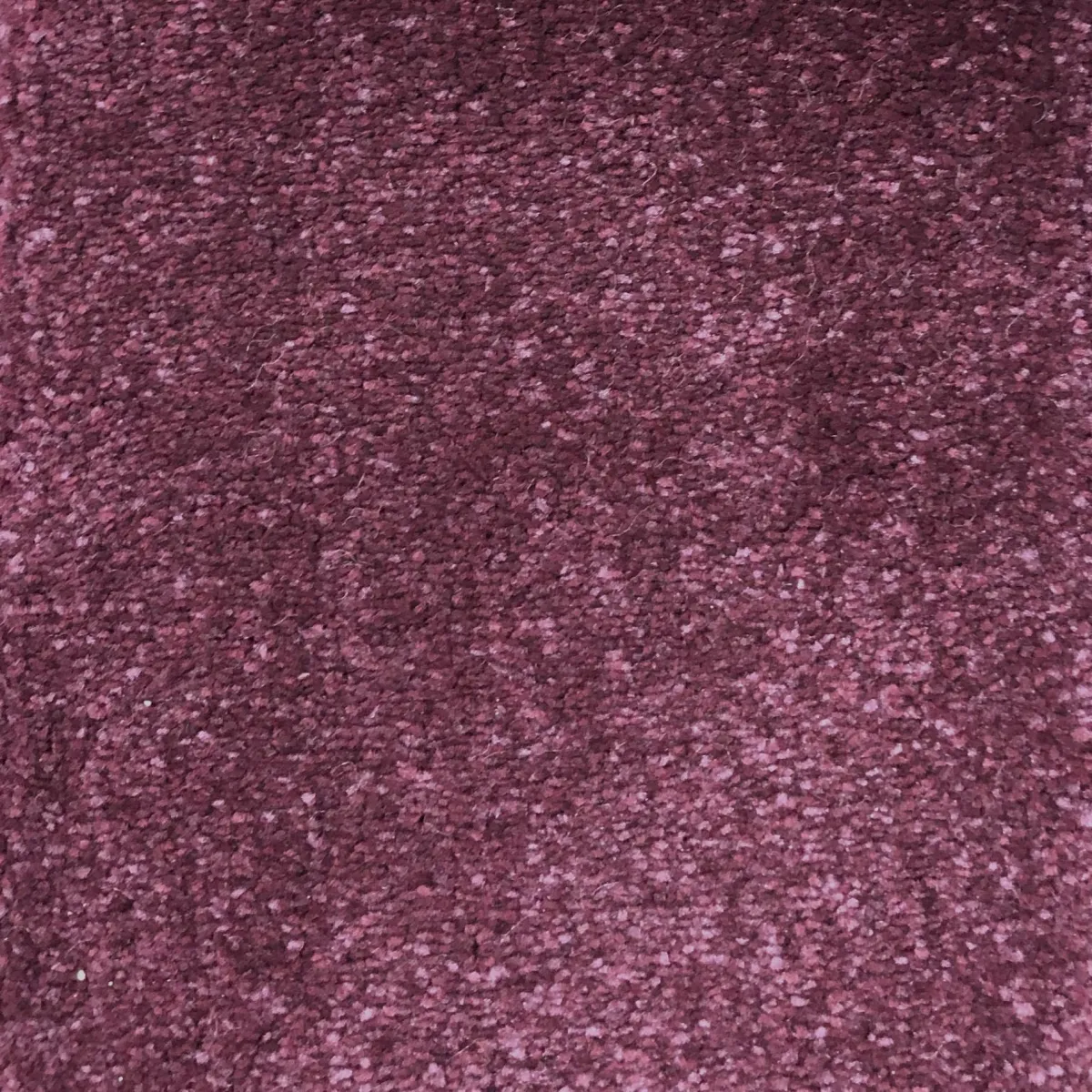Aubergine 53602 Carpet