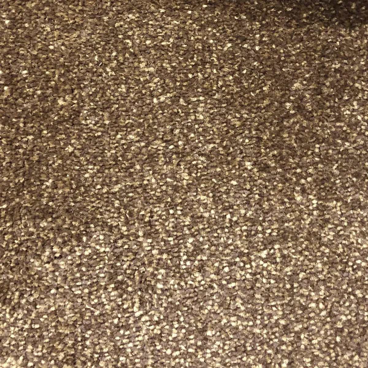 Light Brown 53659 Carpet