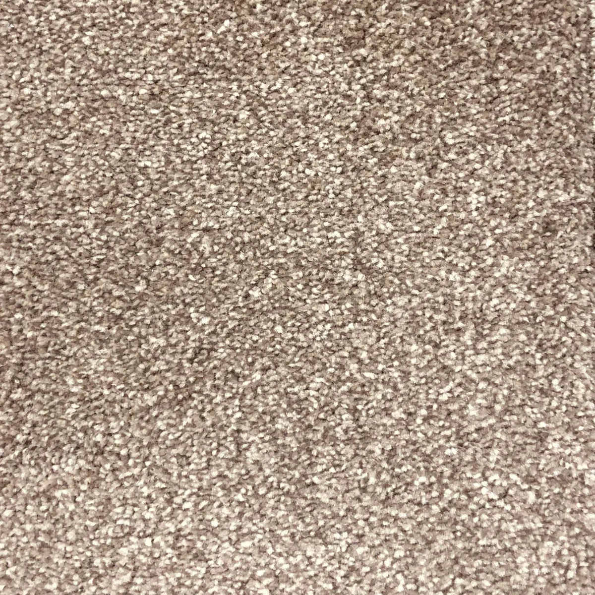 Malt 53629 Carpet