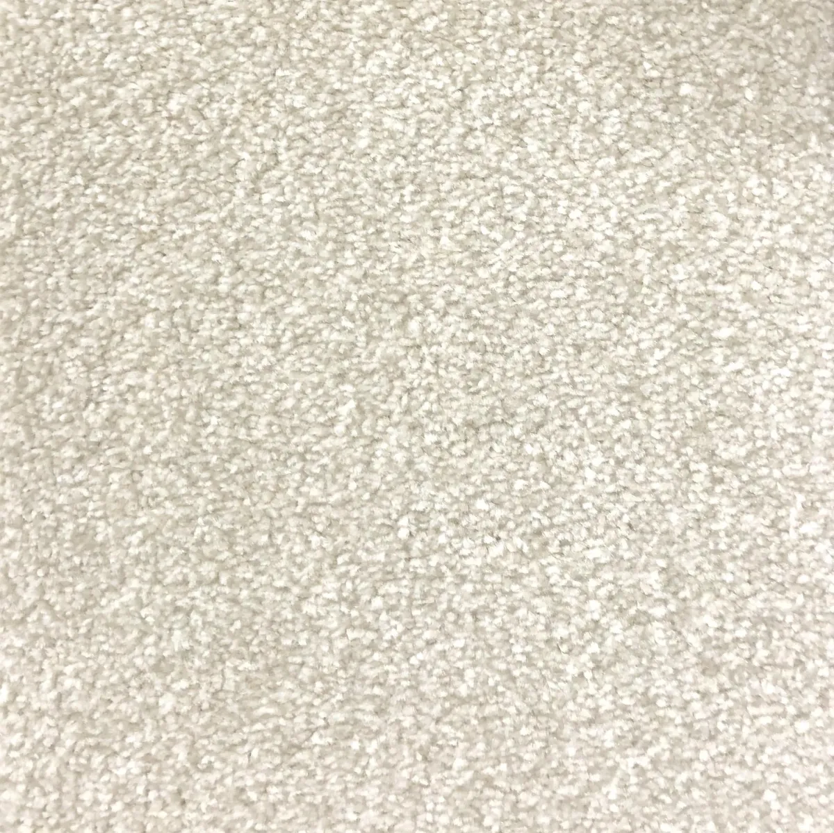 Ivory 66703 Carpet
