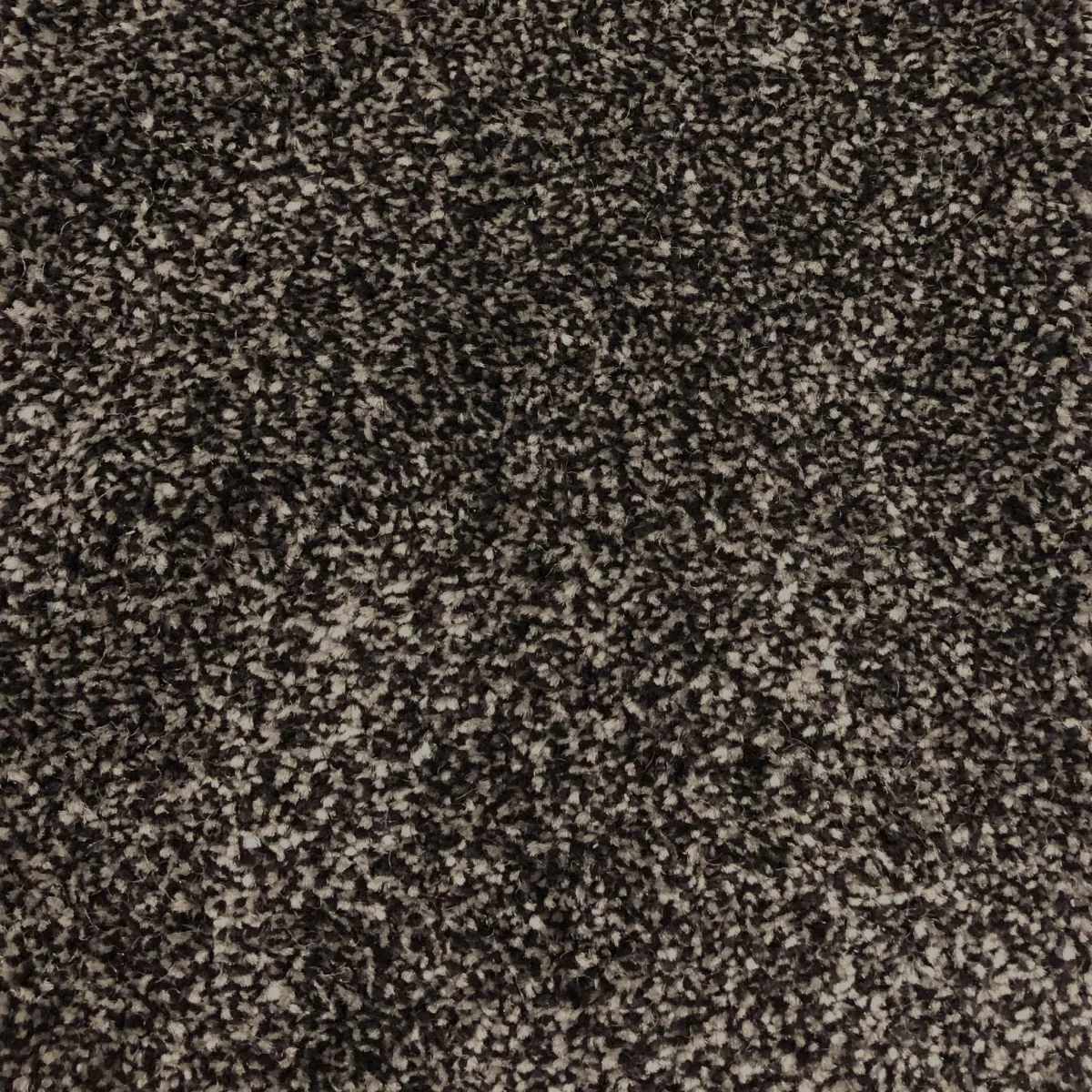 Dark Grey 56588 Carpet