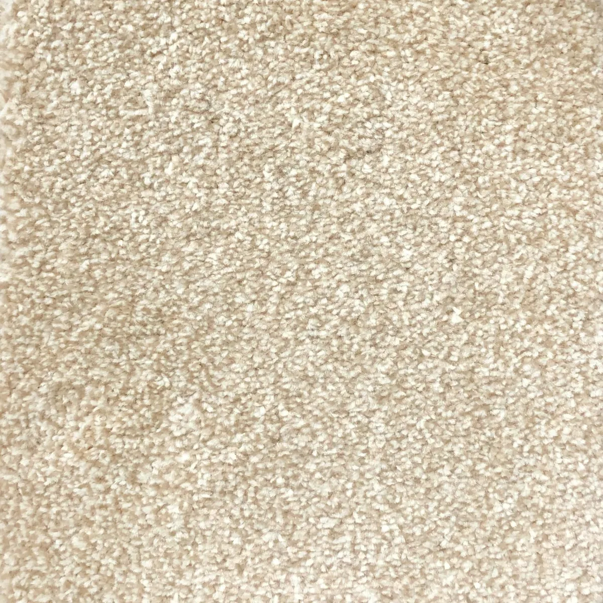 Beige 53869 Carpet