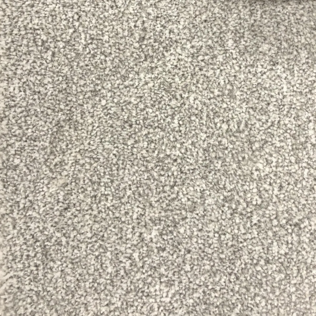 Cobalt 65576 Carpet