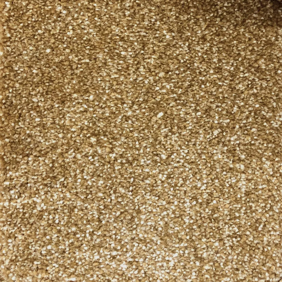 Rich Oak 65106 Carpet