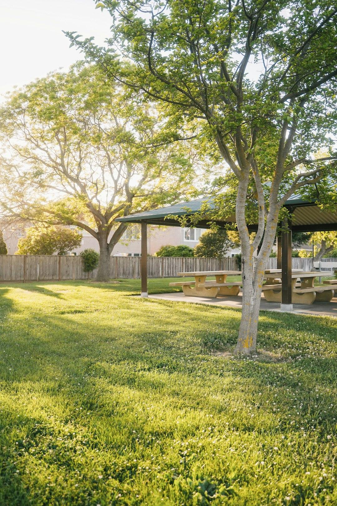 backyard residential landscape design