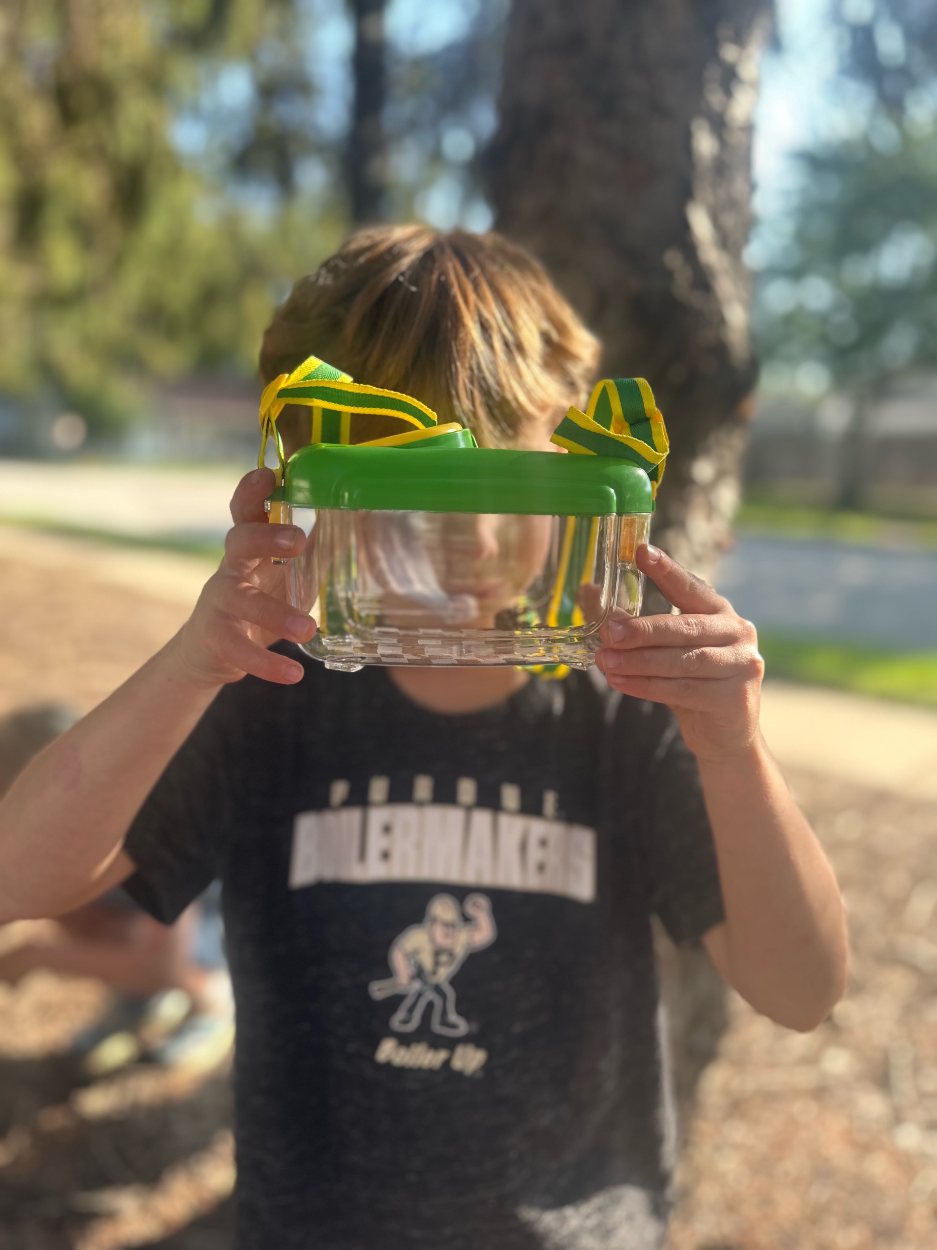 A child looks at a bug through a plastic container