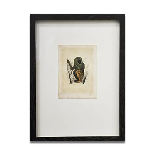 picture framing in provo border and square