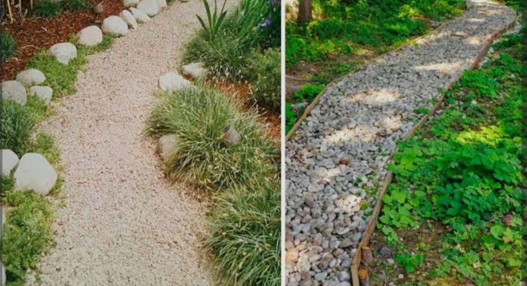 Arbustos podados en forma esférica con estanque de agua en jardín ajardinado - Jardinería y Paisajismo JS