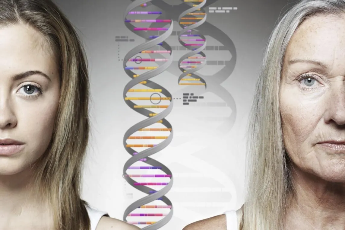 New Research on How Much Your Lifespan Is Determined By Your Genes
